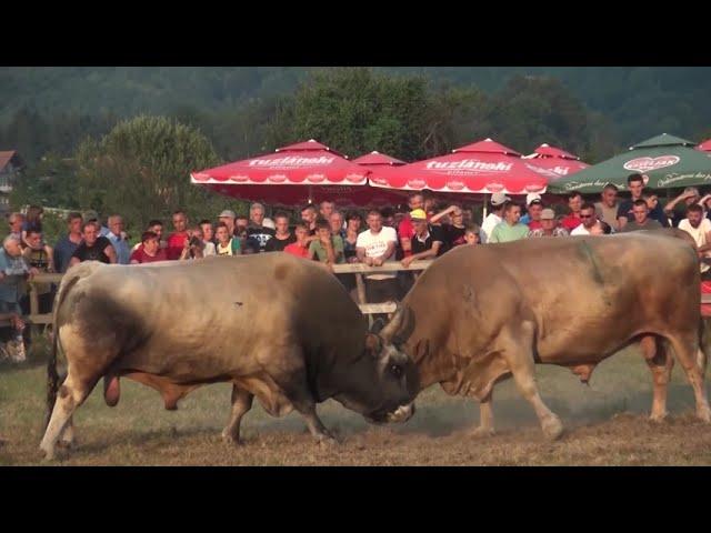 KORIDA - VOZUCA - ZAVIDOVICI - 23.07.2021. - 2. DIO