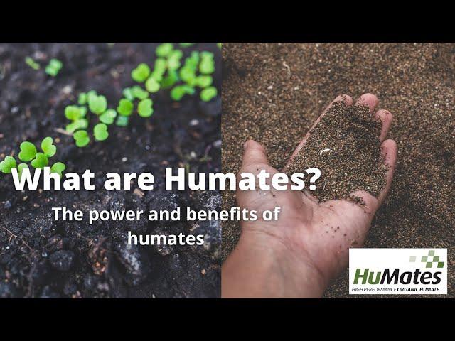 What are the benefits of Humates?