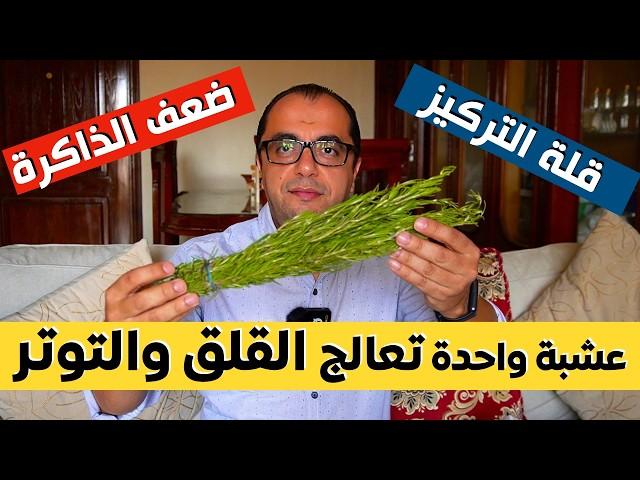 العشبة المنسية للراحة النفسية - تقليل التوتر وضعف الذاكرة