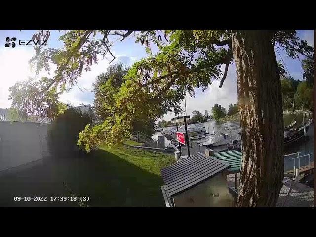 Bayfield Marina Live Stream