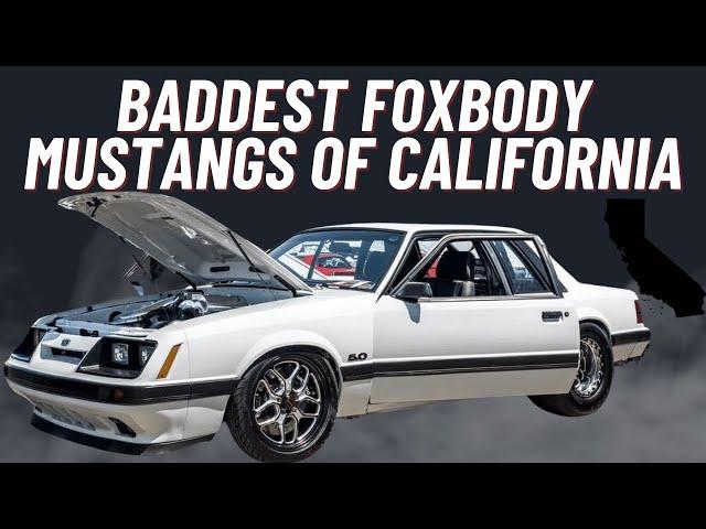 The Baddest Foxbody Mustangs of California Part 1