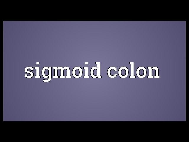 Sigmoid colon Meaning