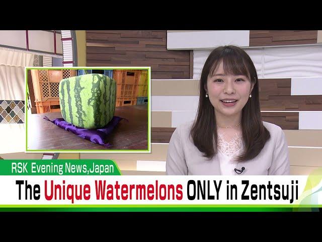 ”Square Watermelons” ONLY in Zentsuji｜Amazing Japan（from Okayama＆Kagawa）