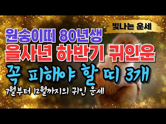 80년생 원숭이띠 2025년 운세 하반기 귀인운'이 띠' 3가지 천을귀인입니다 상극인 띠 '3가지' 경신년 80년생 운세 경신생 원숭이띠말년운 1980년생 재물운 을사년 하반기