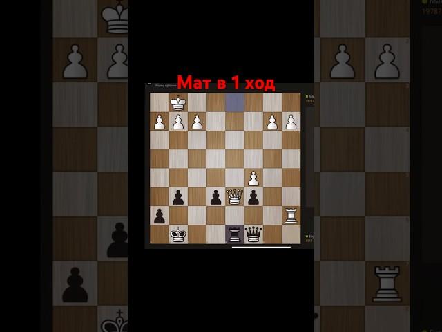 Мат в 1 ход  Отрывок занятия. #chess777 #chess #шахматы #обучение  #онлайнобучение