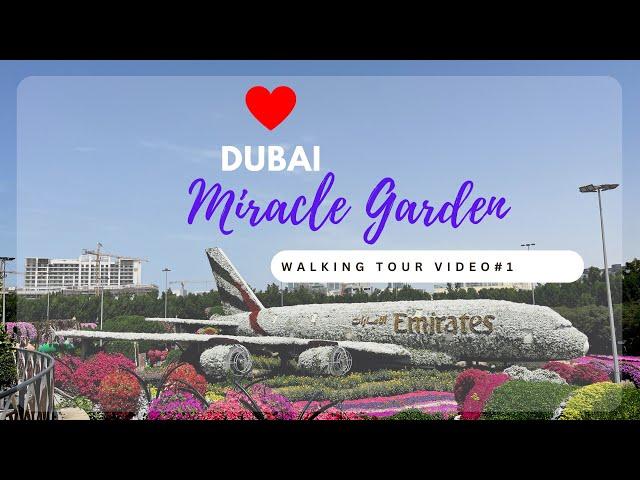 #Dubai Miracle Garden 2023 ||Walking Tour Video 1|