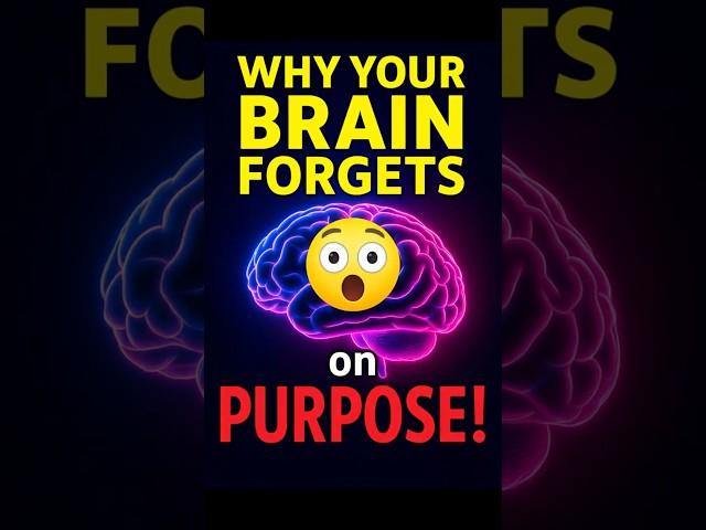  Why Your Brain FORGETS Things on Purpose!