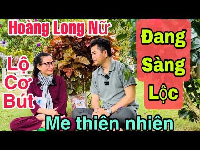 Hoàng Long Nữ(P 36)