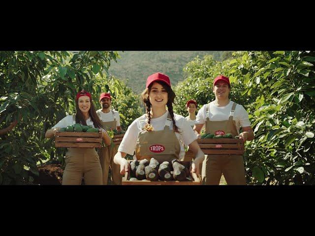 Si es TROPS, es mucha fruta | Nuevo spot publicitario aguacates TROPS