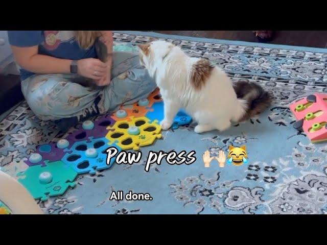 Update On Alastor’s Paw Press Progress: All Done Mom!