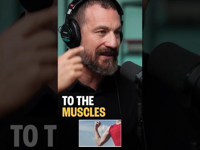 Mind your workouts: How overtraining can affect your brain function | Andrew Huberman