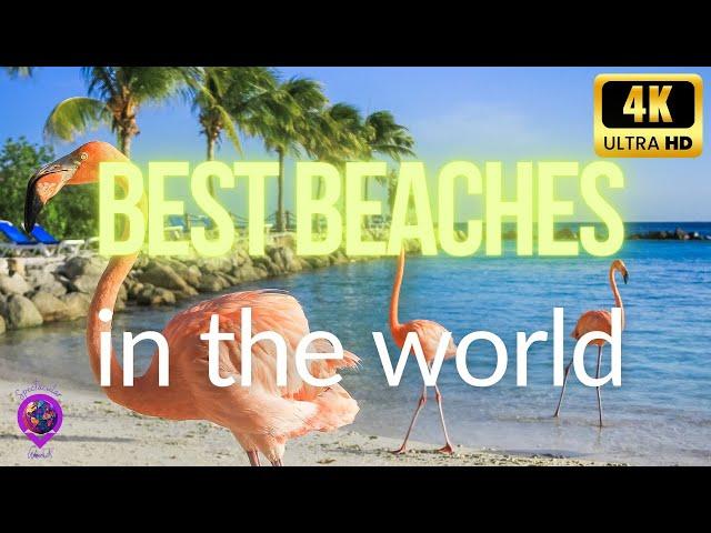 Ultimate Travel Guide: Top 10 Best Beaches in the World | 2024 Beach Bucket List!