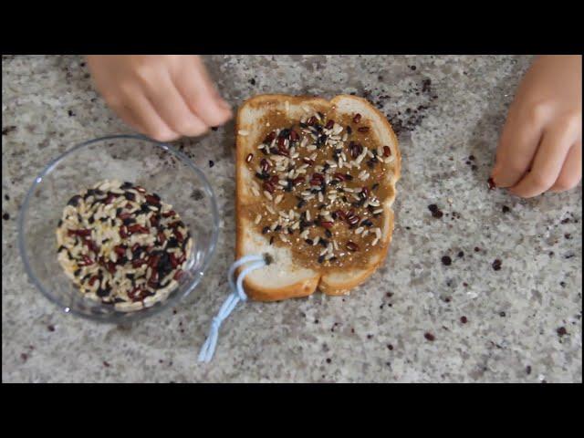 The Beginner's Bible Crafts- A Bird Feeder (Food From Heaven) 主日学手工- 小鸟的早餐