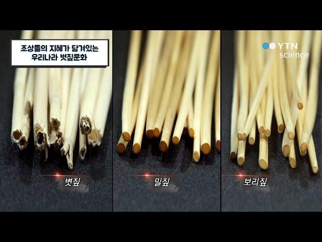 조상들의 지혜가 담겨있는 우리나라 볏짚문화 / YTN 사이언스