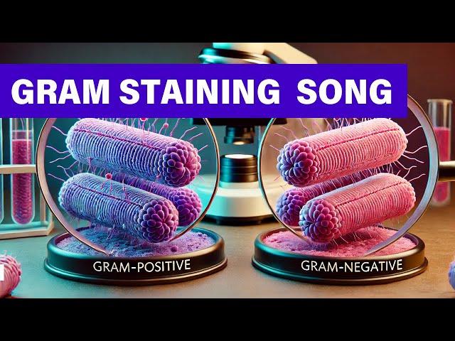 The Gram Stain Song  | Fun Way To Learn 