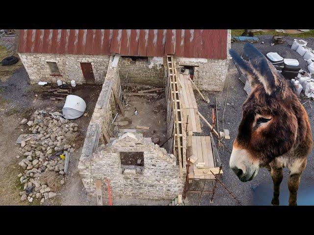 A Step Closer To A Roof On The Ruin & Toby Gets A Gate!