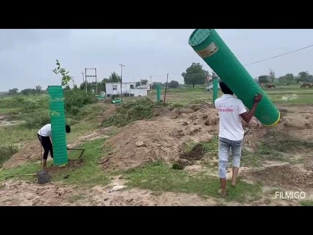 Tree Plantation and cleanliness Program