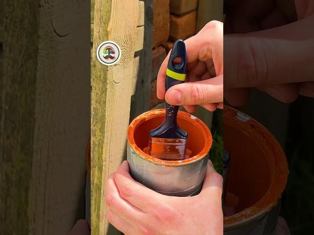 Dried Brush Saved! A Trick with a Dish Washing Sponge and a Zip Tie! #painting #diy #homedecor