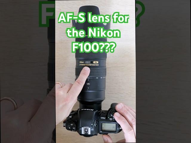 Nikon F100 and the Nikkor AF-S 70-200 f/2.8 II  #photography #nikon #nikonf100 #nikon70200