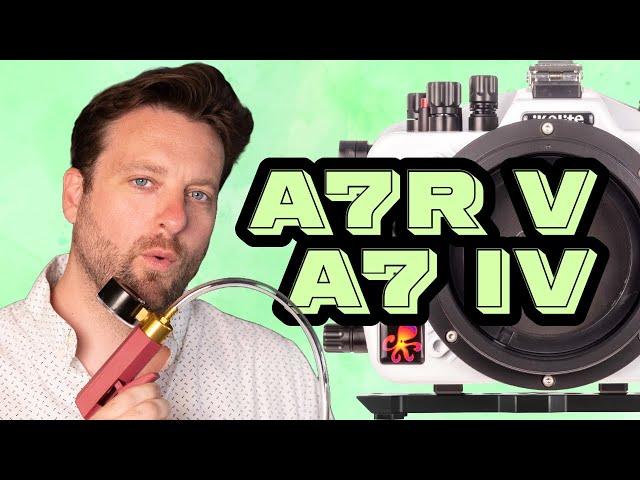 Sony a7R V & a7 IV // Setting it Up Ikelite 200DL Underwater Housing