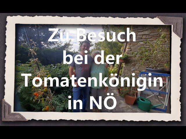 Zu Besuch bei der Tomatenkönigin in NÖ