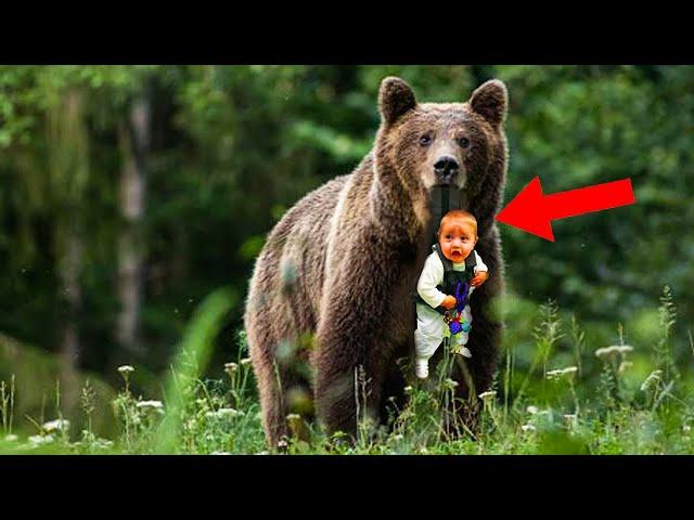 Bear Brought The Baby To People, Risking Its Life. The Reason Why The Animal Did It Is Incredible!