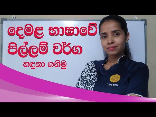 pillam bavithaya | pillam in tamil | දෙමළ භාෂාවේ පිල්ලම් භාවිතය හරියටම | tamil with sureka