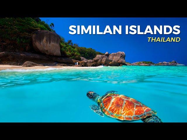 Similan Islands | Turtles and the most crystal-clear water in Thailand