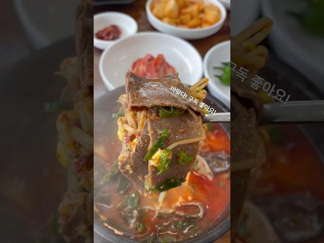 제주도 맛집! 은희네 해장국! 해장하러갔다가 다시 취해서 나오는집 입니다ㅎㅎ #shorts #reels #제주도맛집