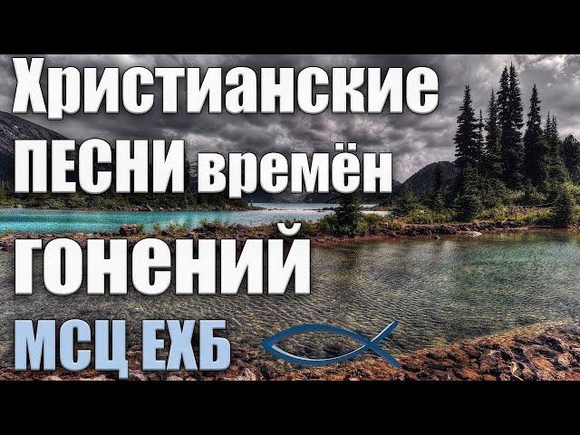 Христианские песни | Словно лилия степная | МХО МСЦ ЕХБ