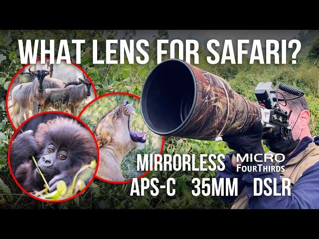 What Are The Best Lenses To Take On Your Safari Trip?