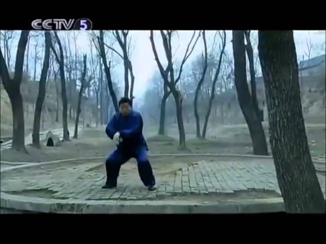 Chen Xiaowang showing eight taijiquan energies