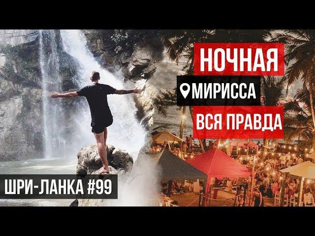 Дикая природа Шри-Ланки: остров джунглей / Ночная жизнь - Вся ПРАВДА !!  МИРИССА / 2020