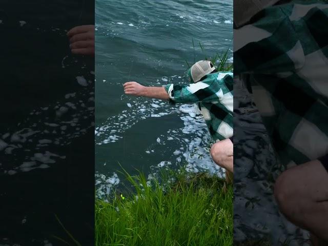 #fishingvideo #рыбалка #fishing #carp #рибалка #рыбалкавидео #carp #спінінг #карась #судак #хищник