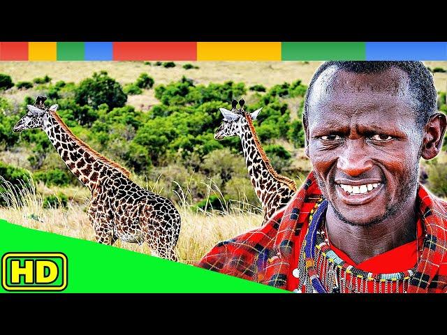 [Nat Geo Wild] Man vs Wildlife - Live on Nature - Giving Nature A Voice   Animals Documentary Nature