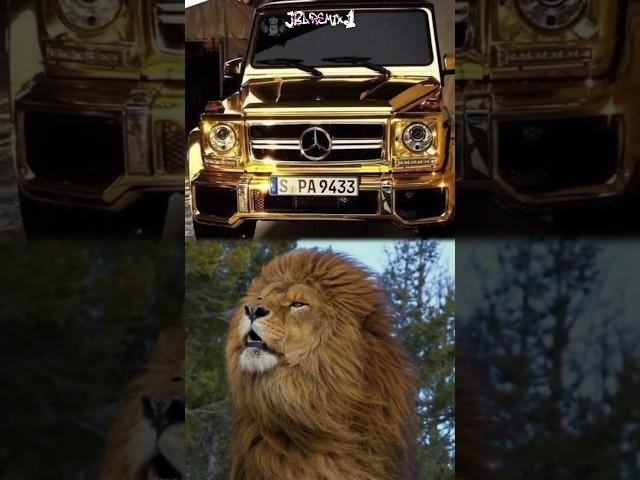 Cars & Animals #car #animals #lamborghini #bmw #mercedes #bugatti #viral #shorts #jblremix.1 #dog