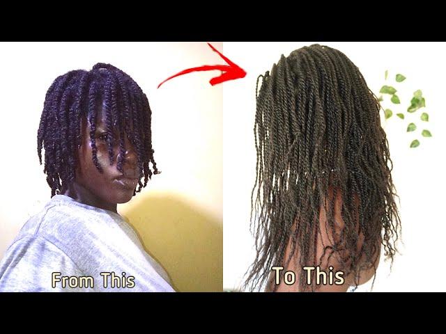 Mini Twist For Natural Hair Growth!