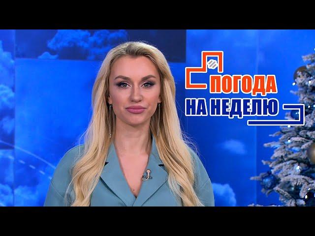 Ночью до -18! Погода на неделю | Прогноз погоды с 19 по 25 декабря 2022 | Плюс-минус