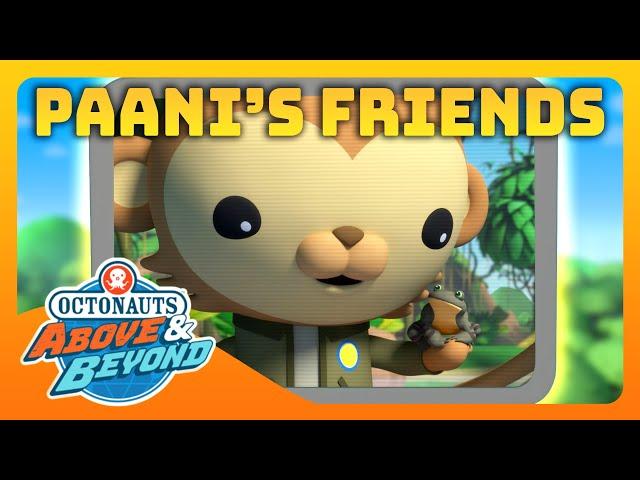 Octonauts: Above & Beyond -  Paani's Friends in the Wild  | Compilation | @Octonauts​