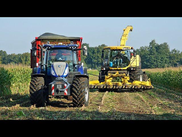 Mais Silage 2024 | New Holland FR9050 + T7.230 | H. Korenberg & Rozeboom