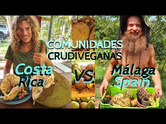 Comunidades Crudiveganas Frugívoras - Costa Rica vs. España | Una charla sobre comunidad Pura Fruta