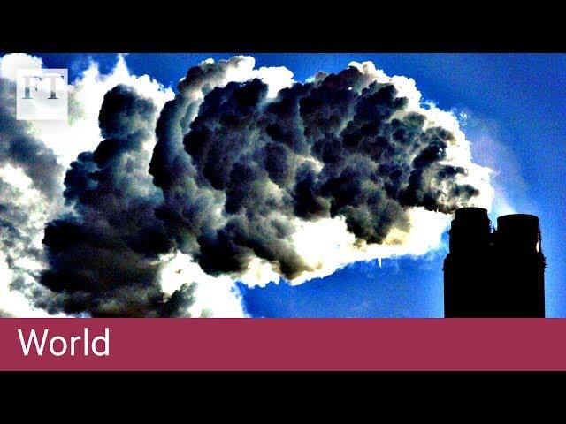 UK's anti-pollution push | World