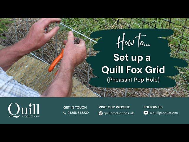 How to Set up a Quill Fox Grid (Pheasant Pop Hole)