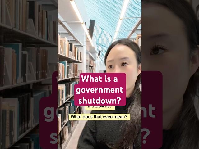What is a government shutdown? #gov #usafacts #explained
