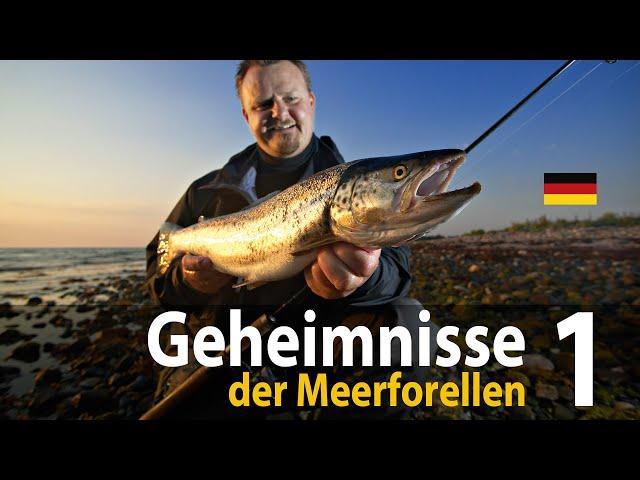 Geheimnisse der Meerforellen 1 Spinnfischen