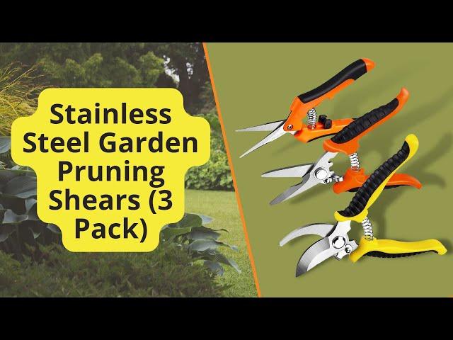 Stainless Steel Garden Pruning Shears 3 Pack