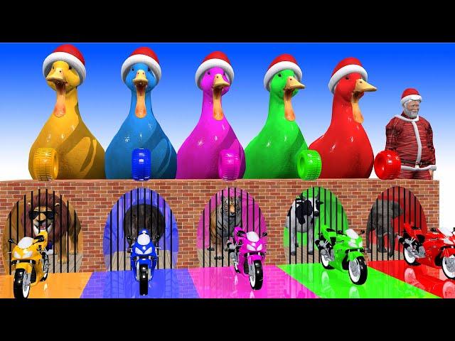 5 Giant Duck Cartoon elephants, cats, cows, tigers, chickens, bears, Dinosaurs,Lions - Paint Animals