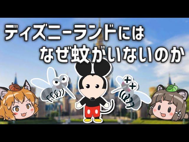 【疑問】なぜディズニーランドには蚊がいないのか？