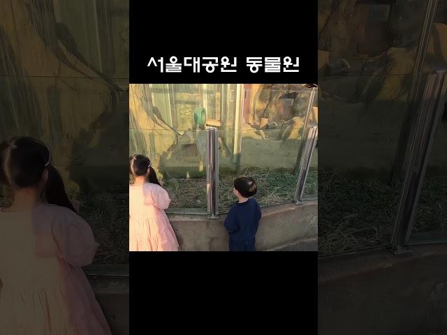 가족여행..서울대공원 동물원에서