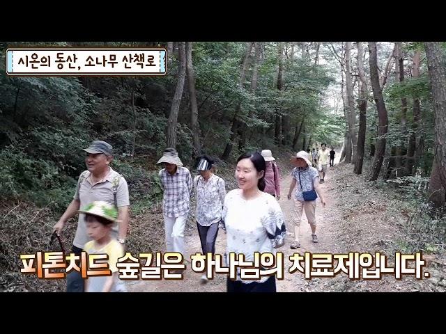 자연치유센터 '시온의 동산' 솔밭 산책길